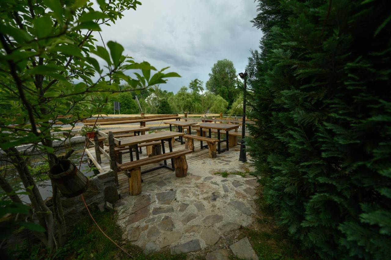 Pensiune Pastravarie La Pintea Haiducu Deseşti Exterior foto