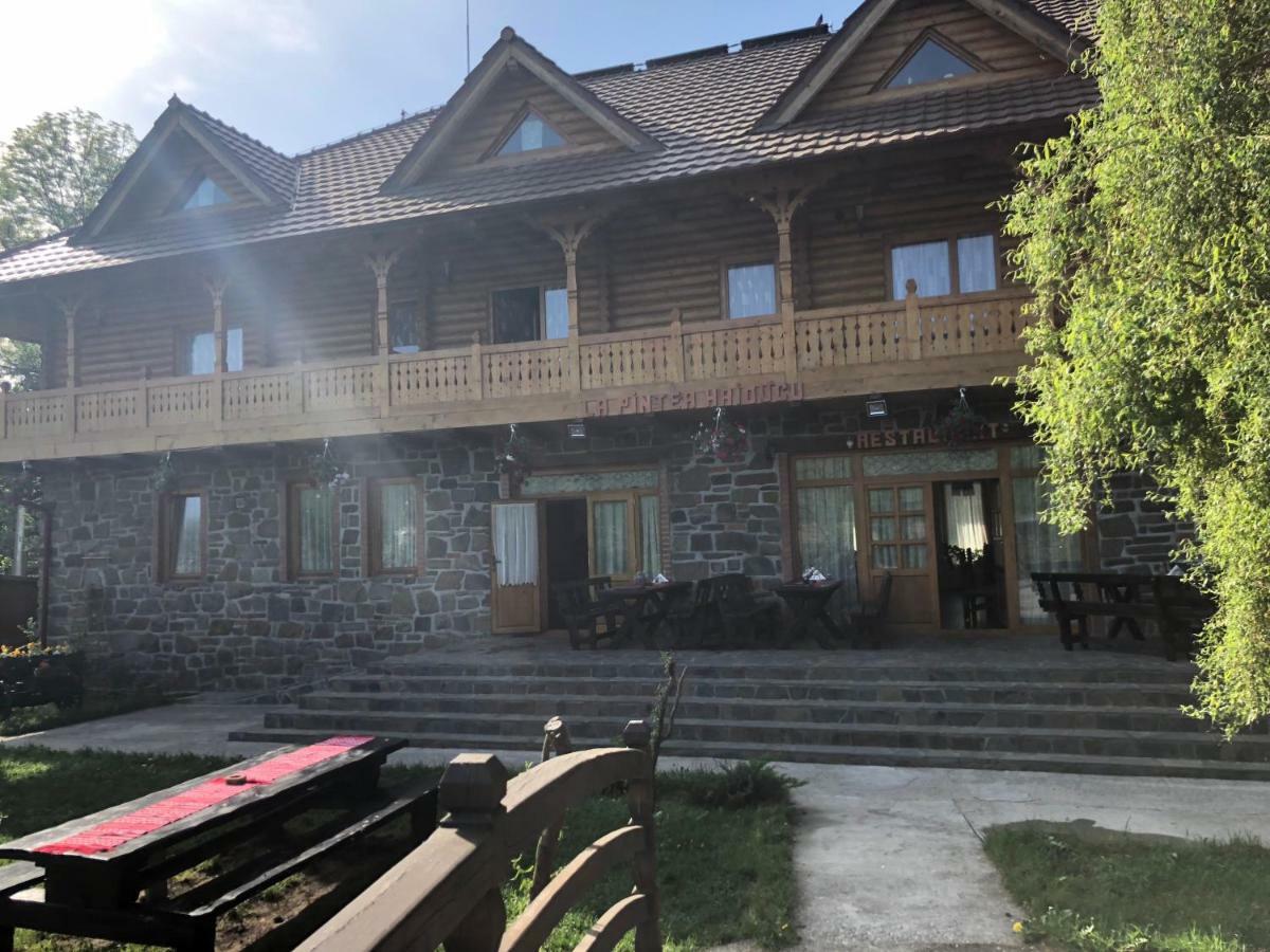 Pensiune Pastravarie La Pintea Haiducu Deseşti Exterior foto